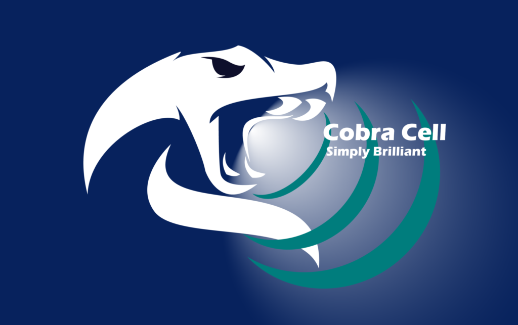 Cobra Cell Infrastructure as a Service (IaaS) - Aerial Solutions